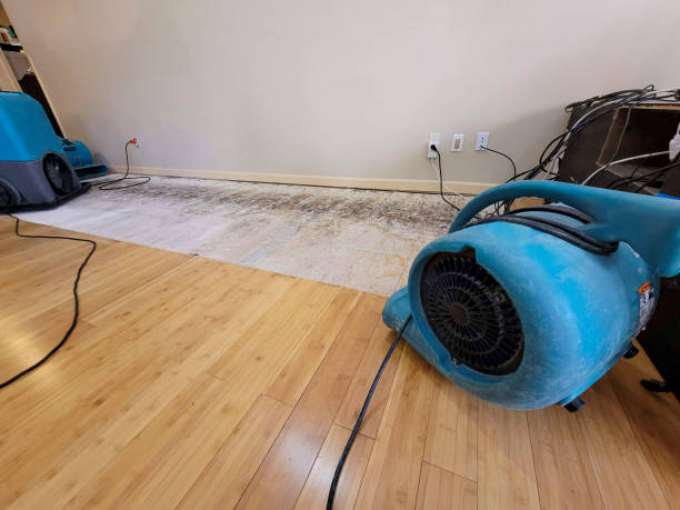 Reliable Basement Flood Cleanup contractor in Tremont City, OH by Hirex Water Damage