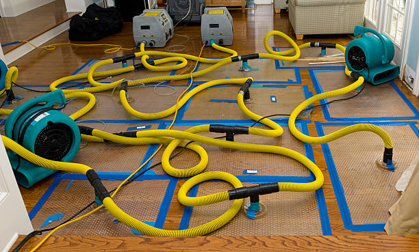 Professional Basement Flood Cleanup technician working in Tremont City, OH